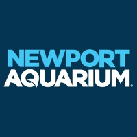 Newport Aquarium